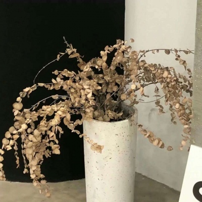 兽设性格设定技巧福瑞群